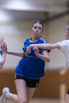 Bild 191 - wBJ TSV Ellerau - SV Fehmarn : Ergebnis: 27:20